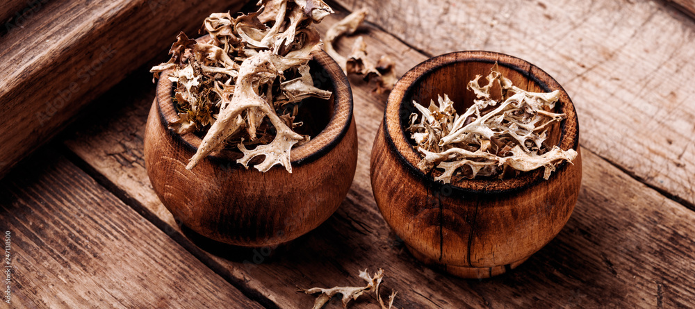 Dried Icelandic medicinal moss Dried Icelandic medicinal moss