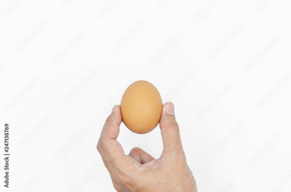 Hand holding egg, isolated on white background Hand holding egg, isolated on white background