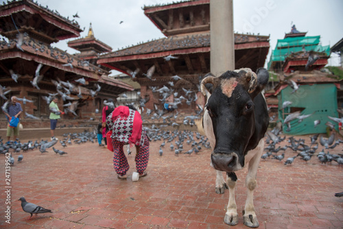 Nepal photo