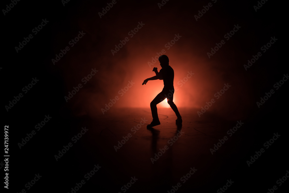 Karate athletes on the background of the Japanese flag.Character karate.silhouettes on a white background. Sports Scramble.