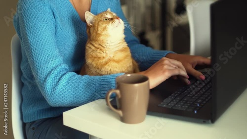 Young woman works on laptop and her red cat nearby.