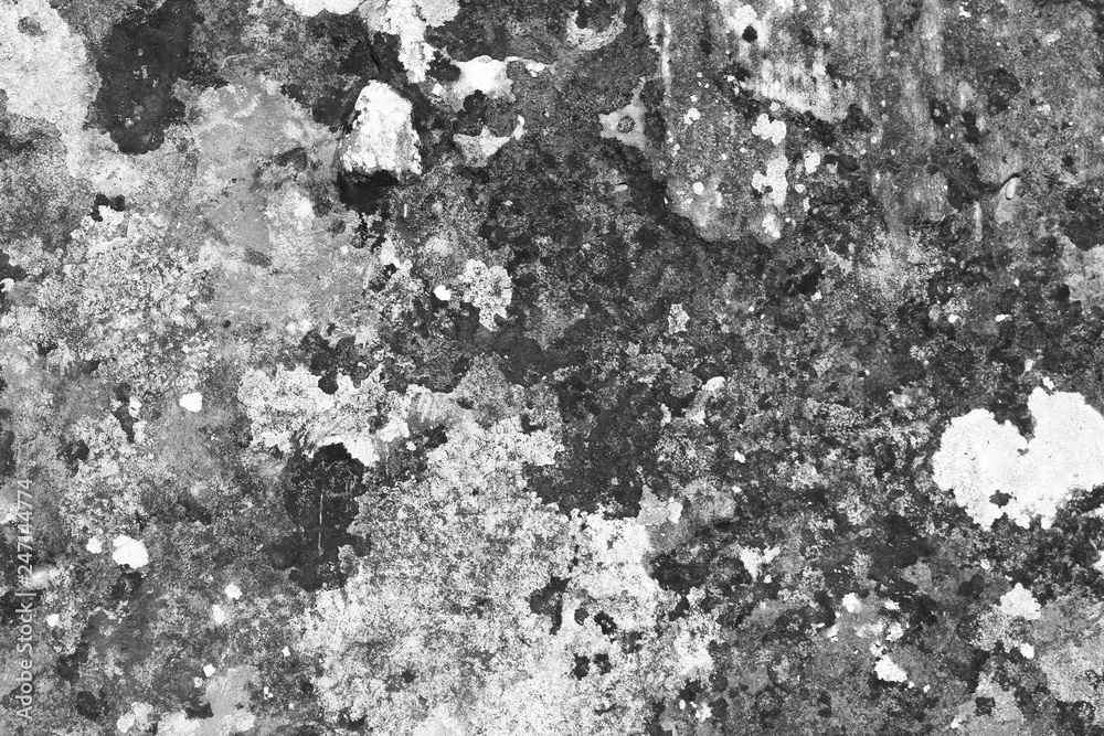 grunge scratched mossy wall texture - pretty abstract photo background grunge scratched mossy wall texture - pretty abstract photo background