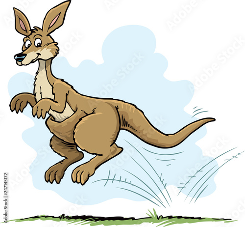 Jumping kangaroo
