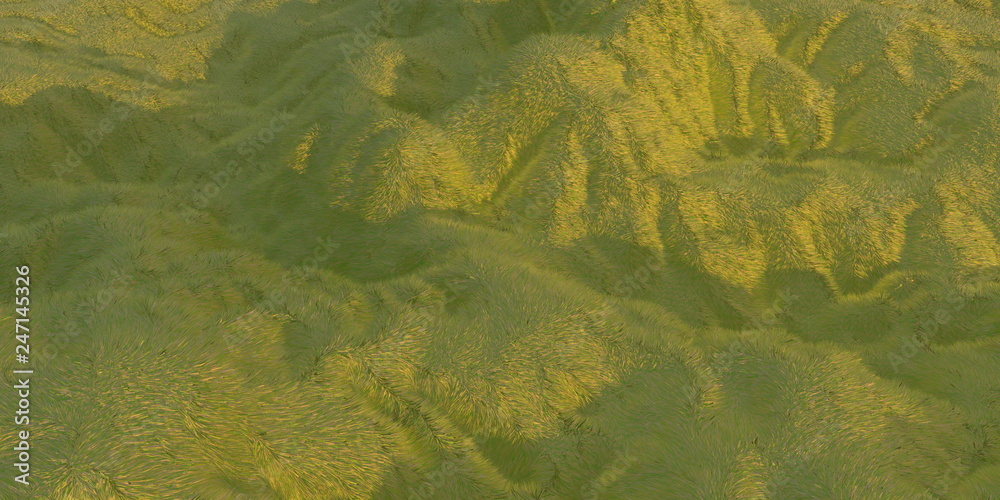 Obraz premium Green grass hills lit by warm sunlight with the white background aerial top view from drone or plane. 3d illustration render