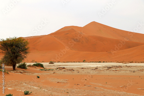 Big Daddy sand dune Sossusvlei - Namibia Africa