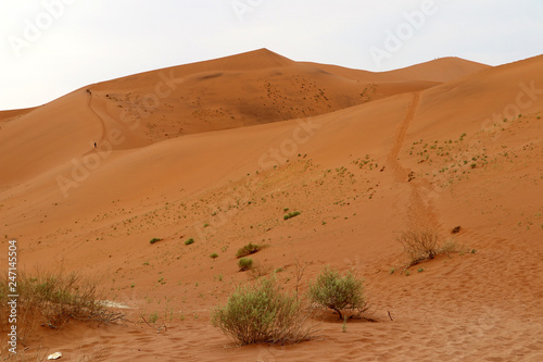 Big Daddy sand dune Sossusvlei - Namibia Africa