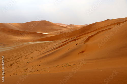 Big Daddy sand dune Sossusvlei - Namibia Africa