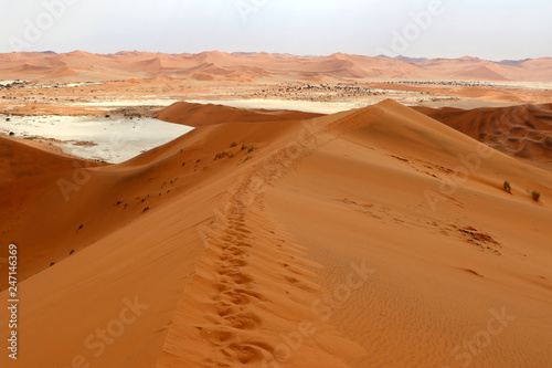 Big Daddy sand dune Sossusvlei - Namibia Africa