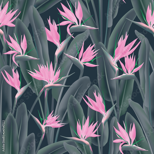 Bird of paradise tropical flower vector seamless pattern. Bohemian tropical plant fabric print design. South African plant tropical blossom of crane flower, strelitzia. Floral wallpaper.