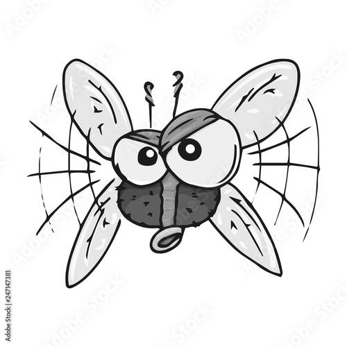 Fly hand drawn. Vector illustration of cartoon fly. Icon fly.