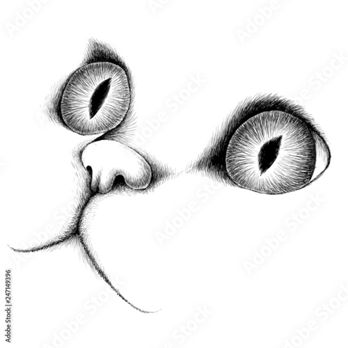 The Vector logo cat for tattoo or T-shirt design or outwear.  Cute print style cat background.