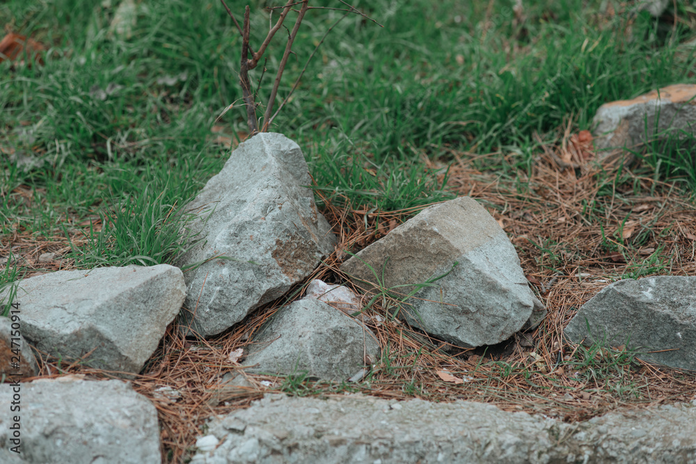 granite stones in green grass. granite stones in green grass.