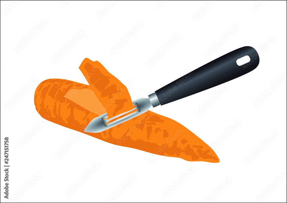 Vecteur Stock Eplucher une carotte avec un ustensile de cuisine. Sur un  fond blanc, une illustration d'un épluche légumes en action sur une  carotte. | Adobe Stock