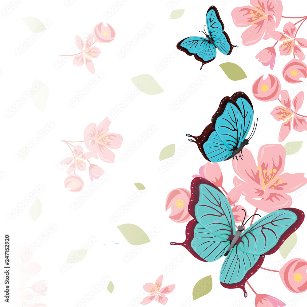 Obraz premium Butterflies Flower Floral Summer Spring Frame Background