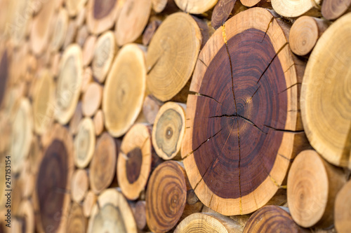 Perspective view of round wooden unpainted solid natural ecological soft colored brown and yellow crackled stumps background, tree cut sections with annual rings different sizes,background texture.