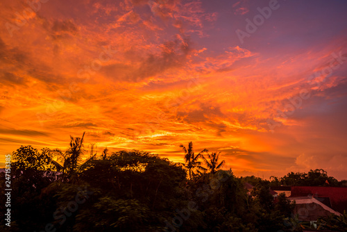 Golden hours burning cloudy sky sunset with trees silhouette horizon high resolution image