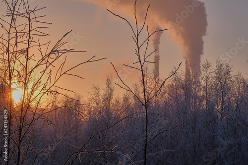 sunset in forest