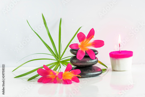Spa composition. Pyramid of black massage stones  purple flowers and burning candle on the white background