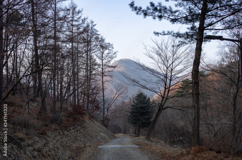Winter mountain at late afternoon Winter mountain at late afternoon
