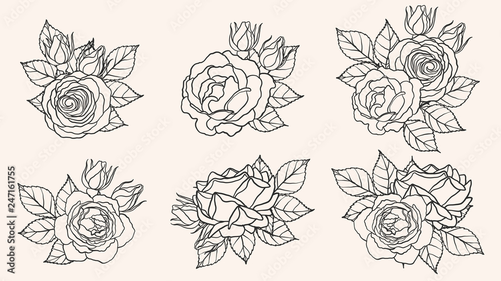 Rose ornament vector by hand drawing.Beautiful flower on brown background.Blaze rose vector art highly detailed in line art style.Flower tattoo for paint or pattern. Rose ornament vector by hand drawing.Beautiful flower on brown background.Blaze rose vector art highly detailed in line art style.Flower tattoo for paint or pattern.