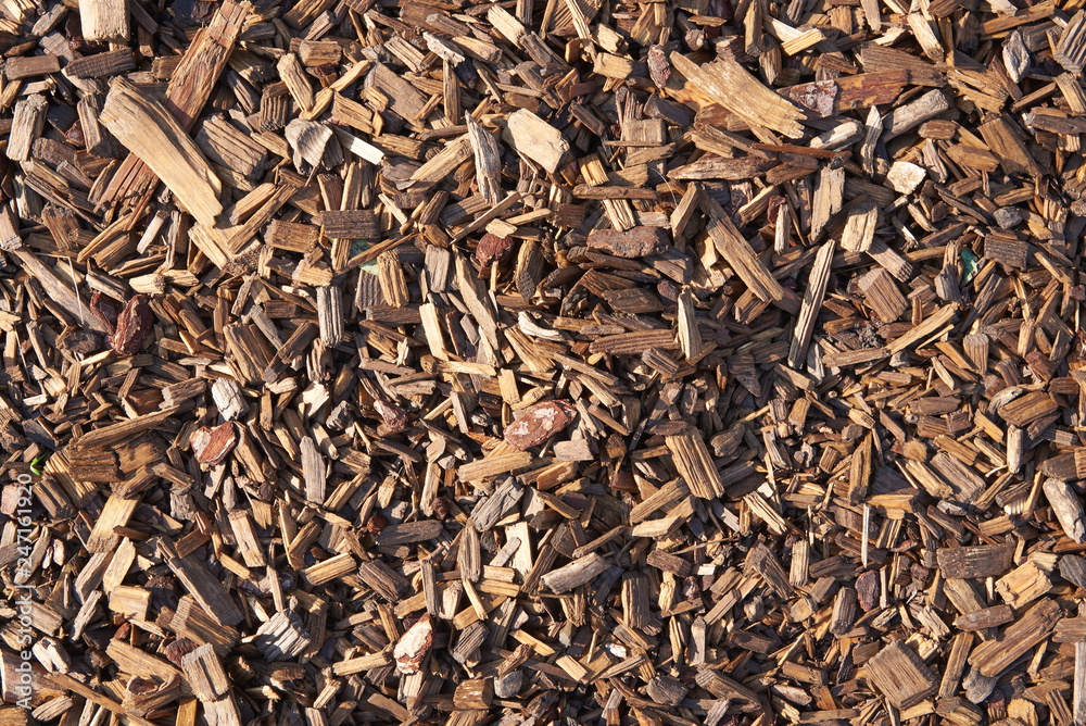 Small pieces of wood and bark in bright sunlight. Texture background
