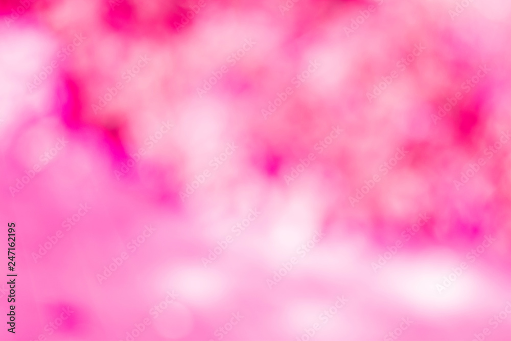 Fototapeta premium Pink rose bokeh blurred shining light. Blur background for valentine day sweet romantic backdrop.