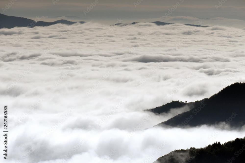 Obraz premium A white mist has covered Rhodope mountain in Bulgaria. Sea of thick fog. Only the high parts of the mountain can be seen.