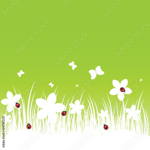 flower with ladybug and butterfly on green background