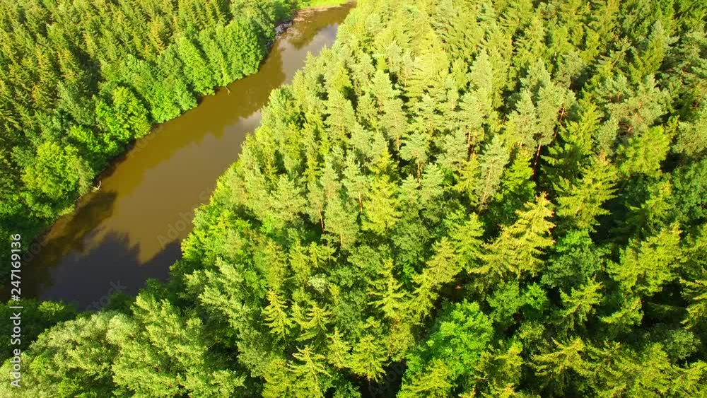 Aerial view of a forest landscape with a small pond. Aerial view of a forest landscape with a small pond.