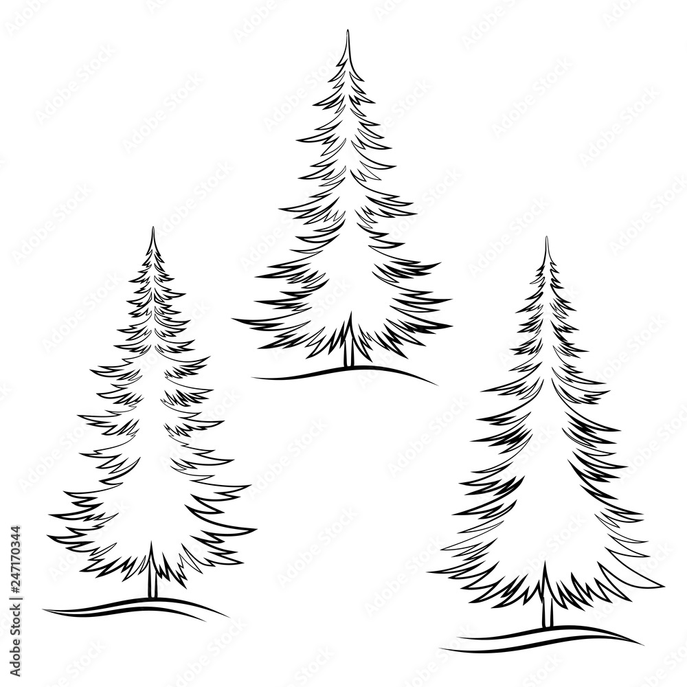 Obraz premium Set of Christmas Trees, Fir Tree Black Contour Winter Symbols, Isolated on White. Vector
