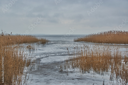 Frozen sea shore