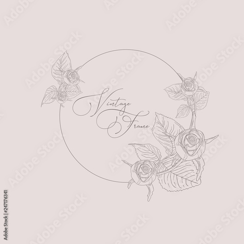 Vector Floristic Feminine Brand Logo Template Frame.