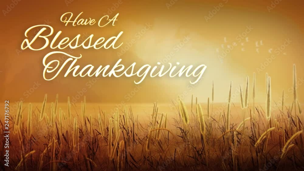 Blessed Thanksgiving Harvest Fields 4K Loop features a wheat field in the foreground with moving clouds in the back and an animated Thanksgiving message 
