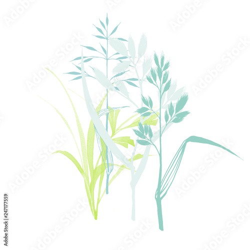 spring colorful grass on hand drawn sketch style on white background. Raster design element for cards  decoration and patterns.