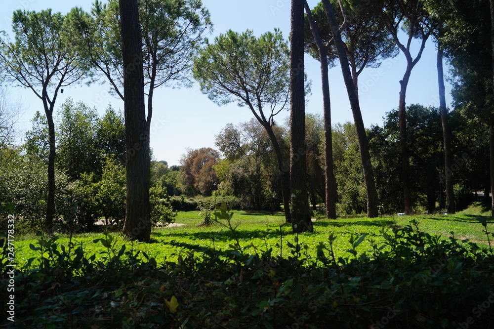 park in the center of Rome