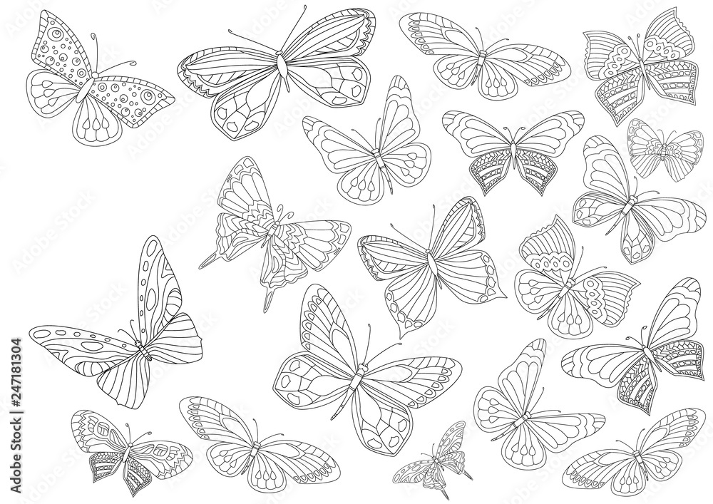 Naklejka fancy collection of flying butterflies for your coloring page