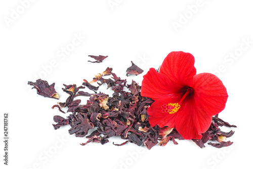 Hibiscus flower and dry blossom photo