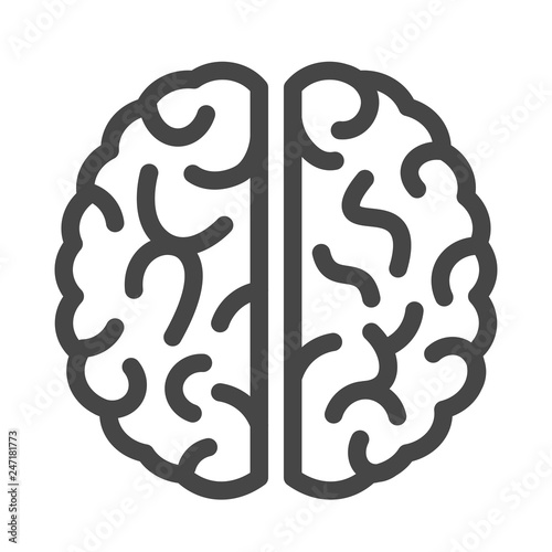 Brain linear vector icon
