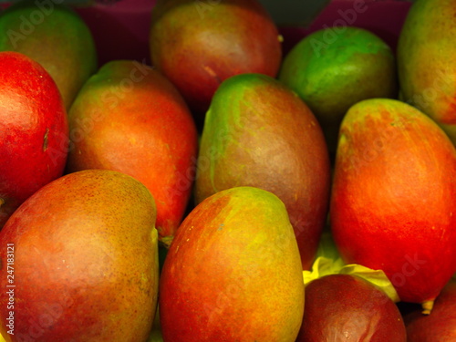 mango fruit
