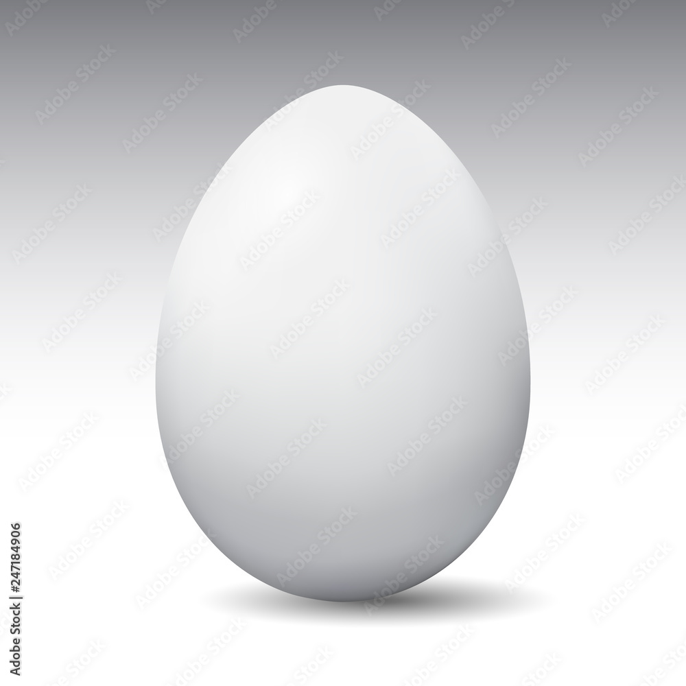 vector image of eggs on a white background, easter egg vector image of eggs on a white background, easter egg