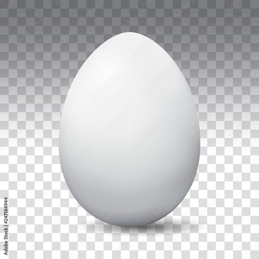 Egg Transparent Background