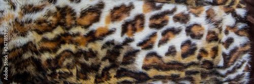 Leopard, Jaguar fur with stained on skin texture, close up