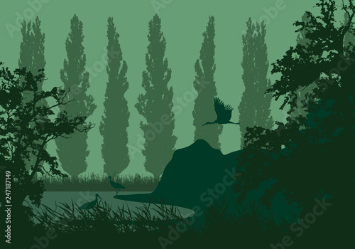 Realistic illustration of a wetland landscape with a lake or river, reeds and poplars on the shore. Three storks under a green sky, vector