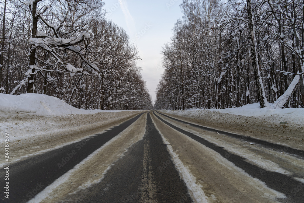 The road in the snowy woods