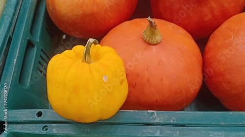 Pumpkin at fruit shop 