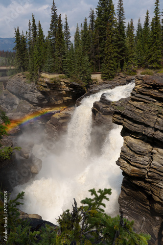 Regenbogen