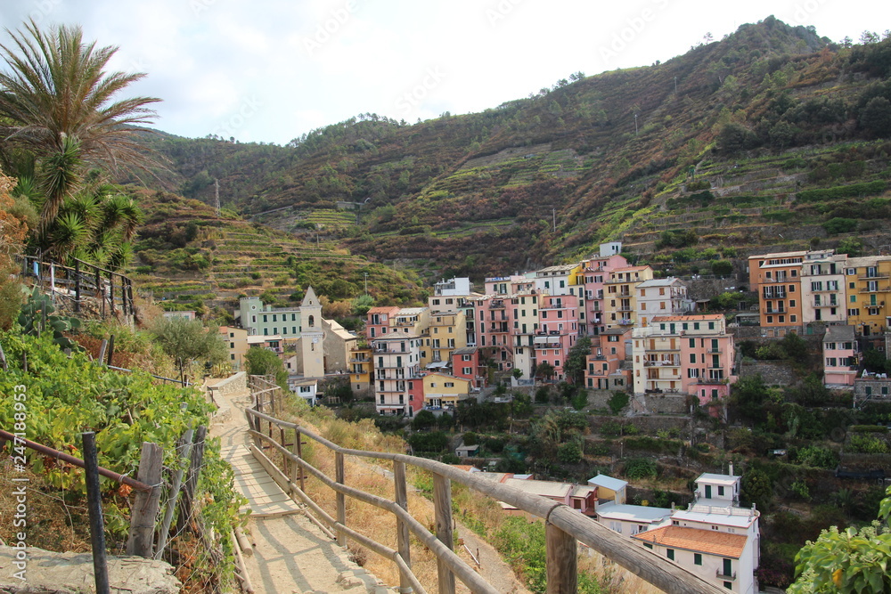 Manarola 4