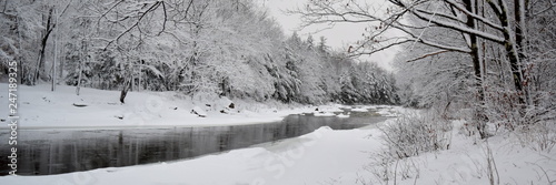 winter landscape with river and trees