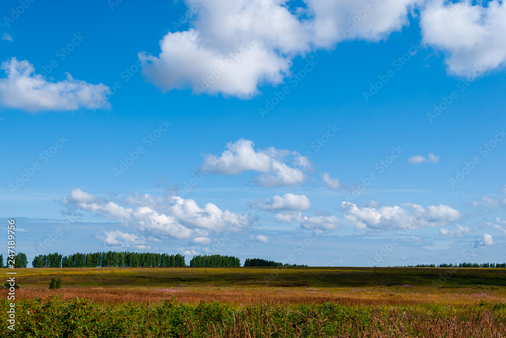 Agricultural plains of Ryazan Oblast