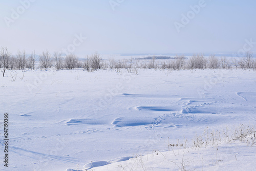 Beautiful winter landscape.Frosty Sunny day.Scenic view. © NADEZHDA